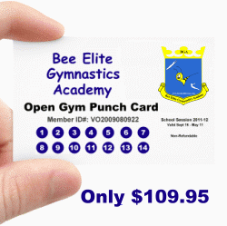 Bee Elite Gymnasts Academy Open Gym Punch Card