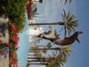 2012 J.O. Nationals , Long Beach California